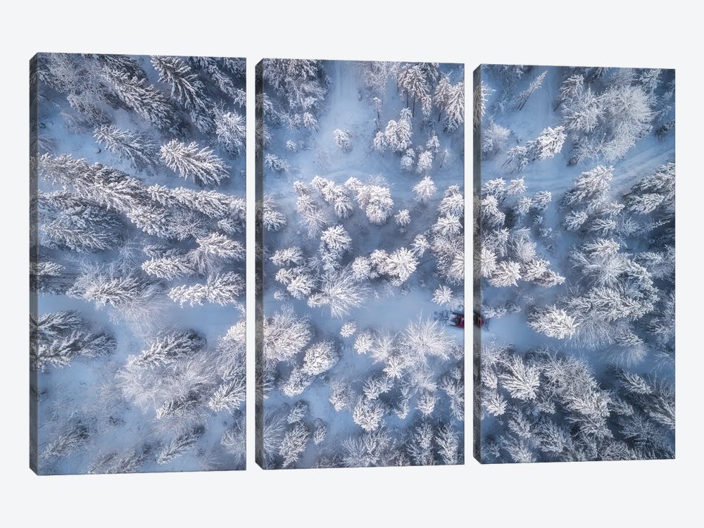 Frozen Winter Forest In Bavaria by Daniel Gastager 3-piece Art Print