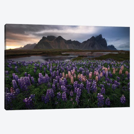 Moody Summer Sunset At Stokksnes Canvas Print #DGG23} by Daniel Gastager Canvas Art Print