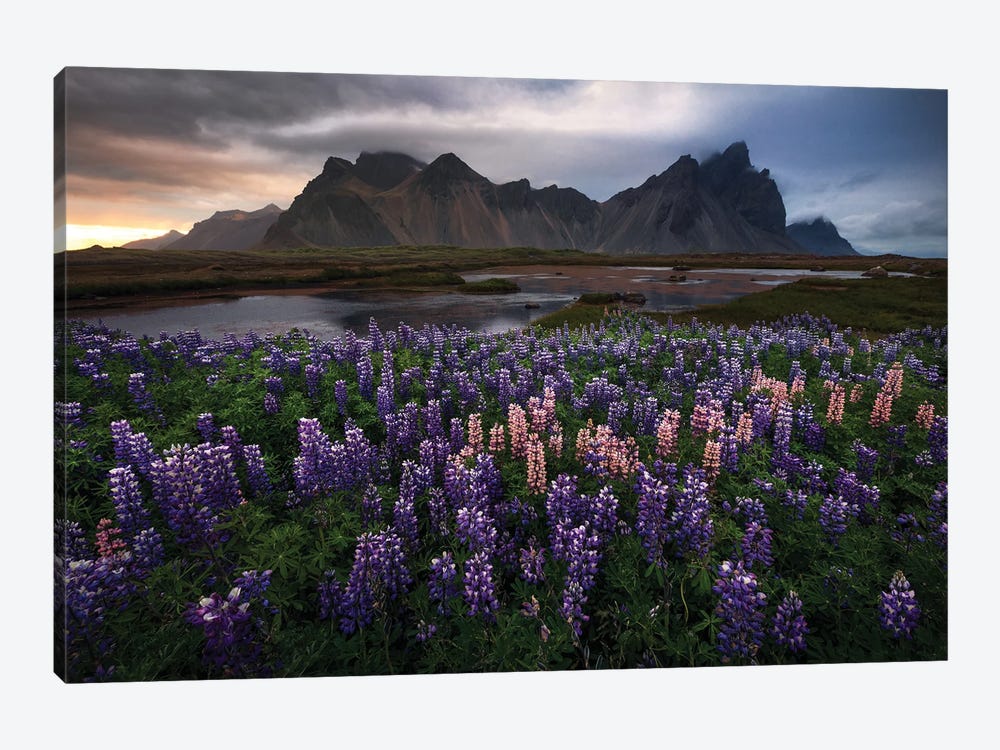 Moody Summer Sunset At Stokksnes by Daniel Gastager 1-piece Art Print