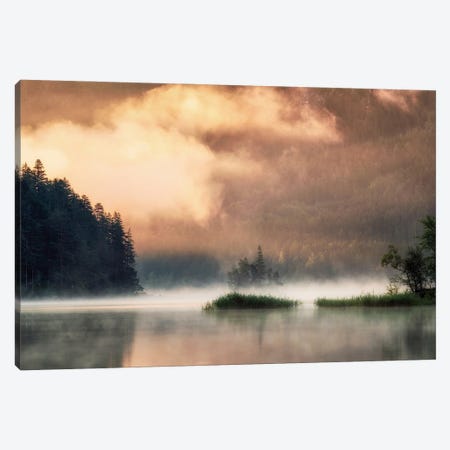 Golden Fog At The Lake Canvas Print #DGG242} by Daniel Gastager Canvas Wall Art