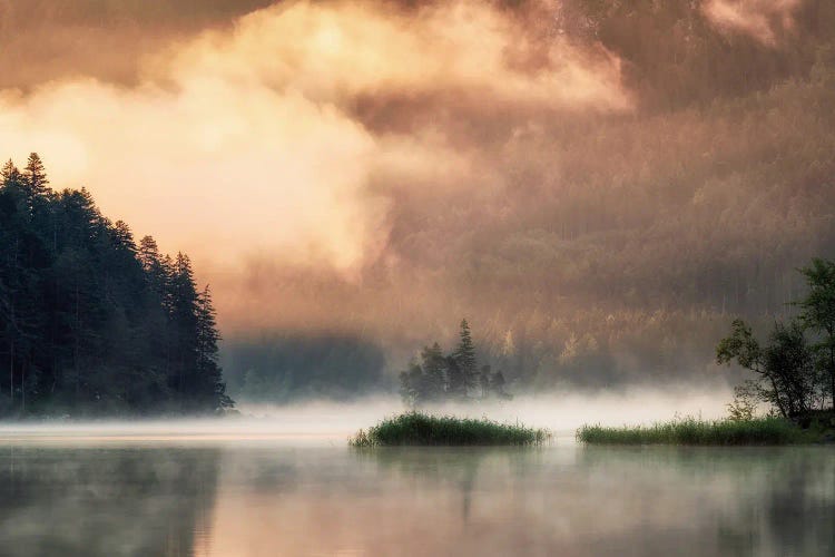 Golden Fog At The Lake