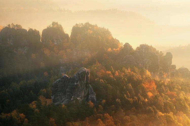 Misty Autumn Morning In Eastern Germany