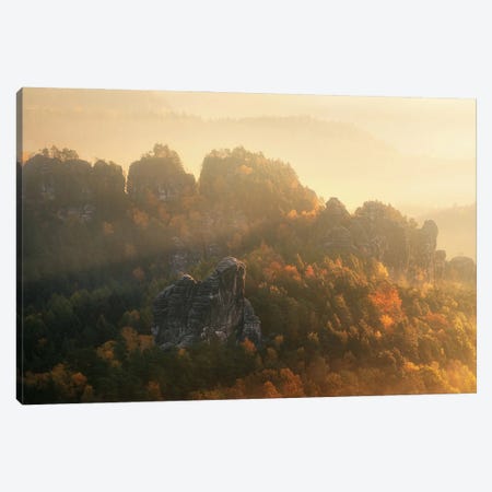 Misty Autumn Morning In Eastern Germany Canvas Print #DGG248} by Daniel Gastager Canvas Art