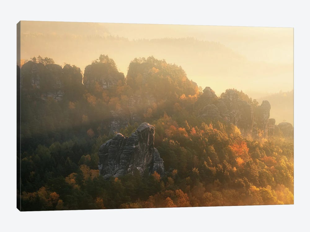 Misty Autumn Morning In Eastern Germany by Daniel Gastager 1-piece Canvas Art Print