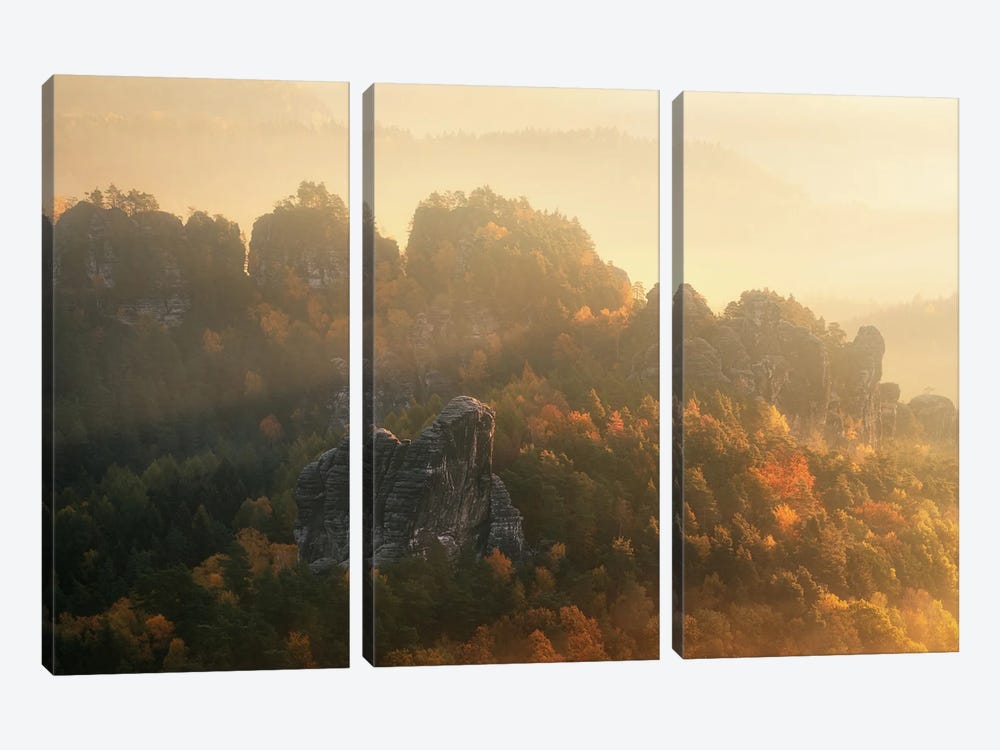 Misty Autumn Morning In Eastern Germany by Daniel Gastager 3-piece Canvas Art Print