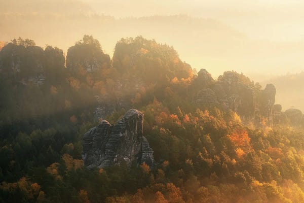 Misty Autumn Morning In Eastern Germany