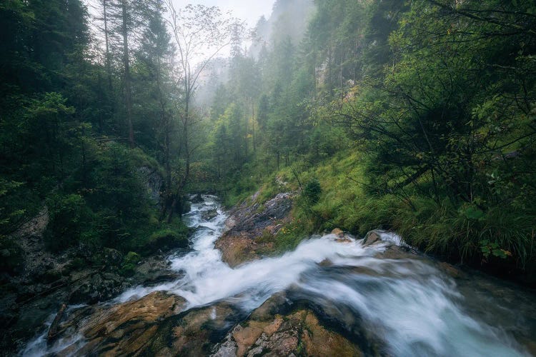 Misty River In The Bavarian Alps