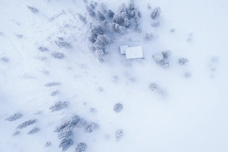 Snowy Wonderland From Above