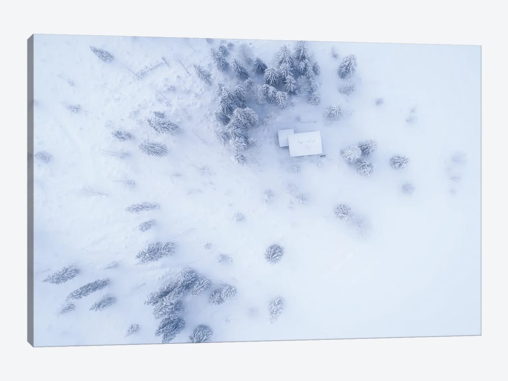 Snowy Wonderland From Above by Daniel Gastager 1-piece Canvas Artwork