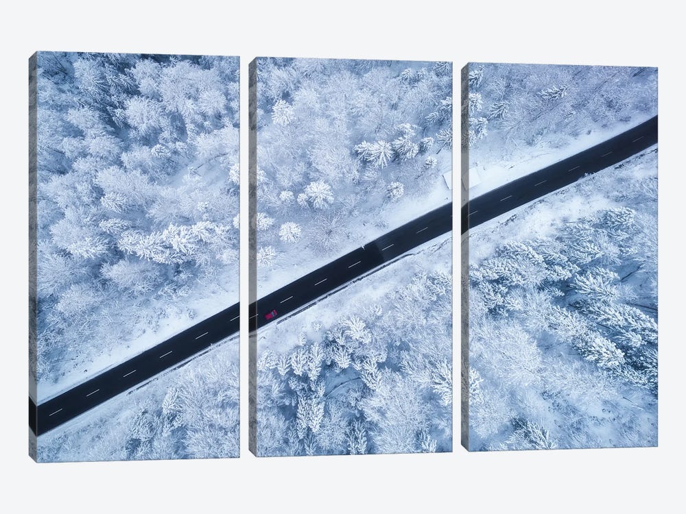 Winter Drone Shot From Above by Daniel Gastager 3-piece Canvas Print