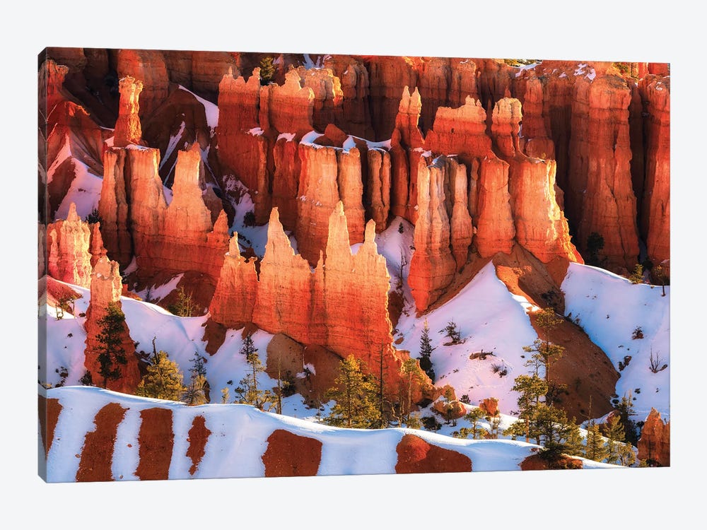 A Winter Morning At Bryce Canyon National Park by Daniel Gastager 1-piece Canvas Art