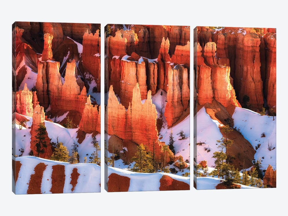 A Winter Morning At Bryce Canyon National Park by Daniel Gastager 3-piece Canvas Art