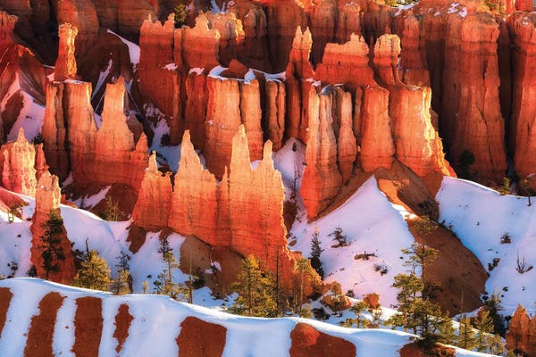 South Dakota: A Winter Morning At Bryce Canyon National Park by Daniel Gastager