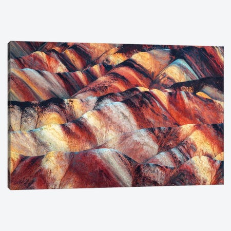 Colors Of The Badlands Canvas Print #DGG268} by Daniel Gastager Canvas Wall Art