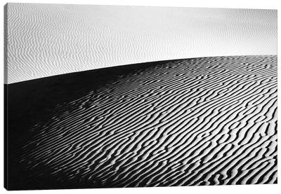 The Desert In Black And White Canvas Art Print - Abstracts in Nature