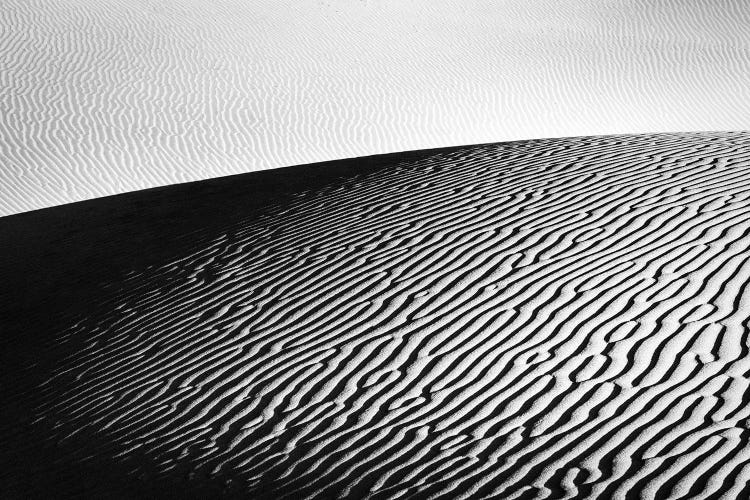 The Desert In Black And White