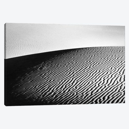 The Desert In Black And White Canvas Print #DGG271} by Daniel Gastager Canvas Print
