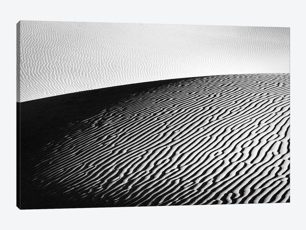 The Desert In Black And White by Daniel Gastager 1-piece Art Print