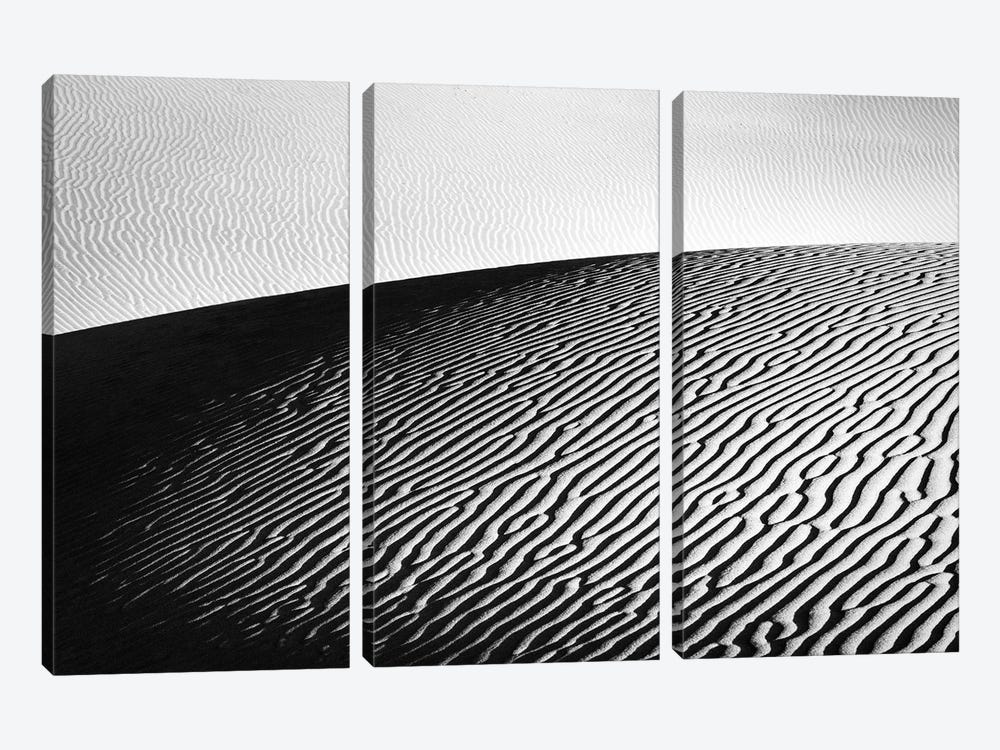 The Desert In Black And White by Daniel Gastager 3-piece Canvas Print