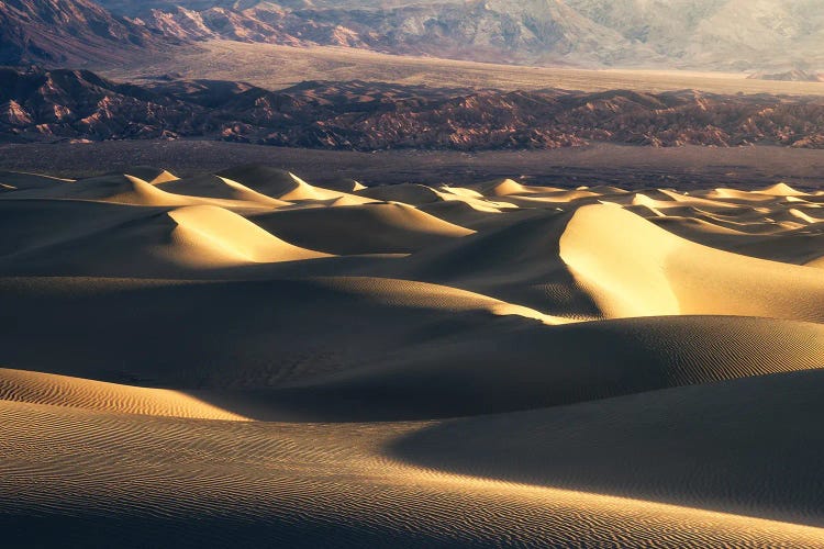 Golden Dunes In Death Valley