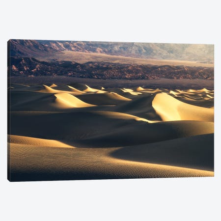 Golden Dunes In Death Valley Canvas Print #DGG272} by Daniel Gastager Canvas Print