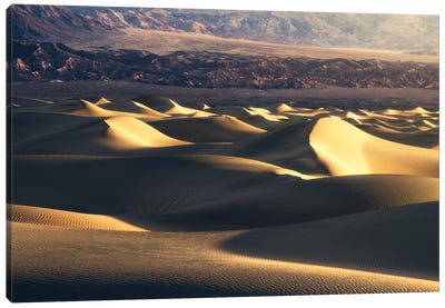 Golden Dunes In Death Valley Canvas Art Print - South Dakota Art