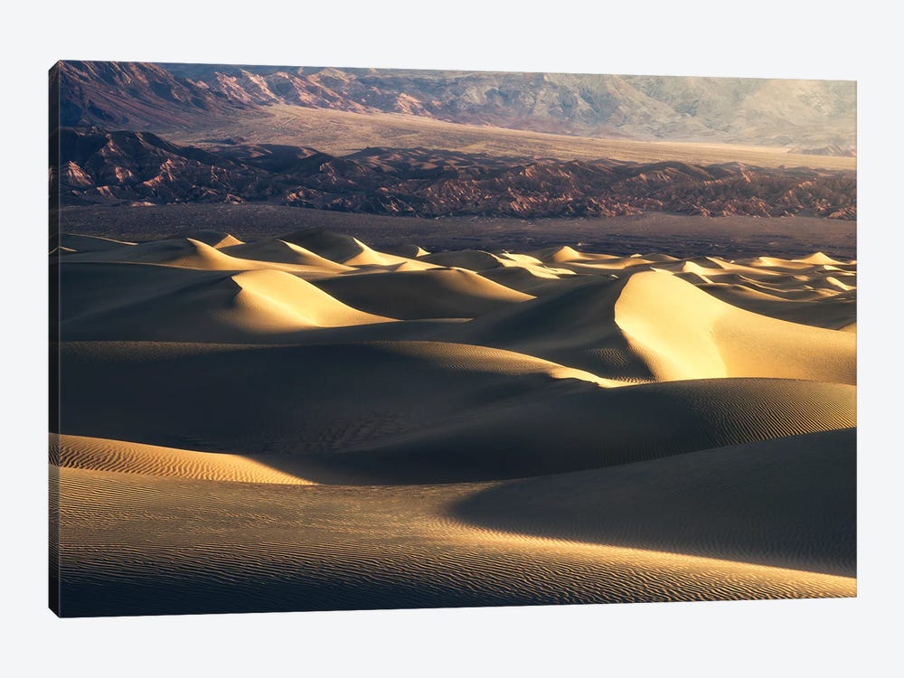 Golden Dunes In Death Valley by Daniel Gastager 1-piece Canvas Artwork