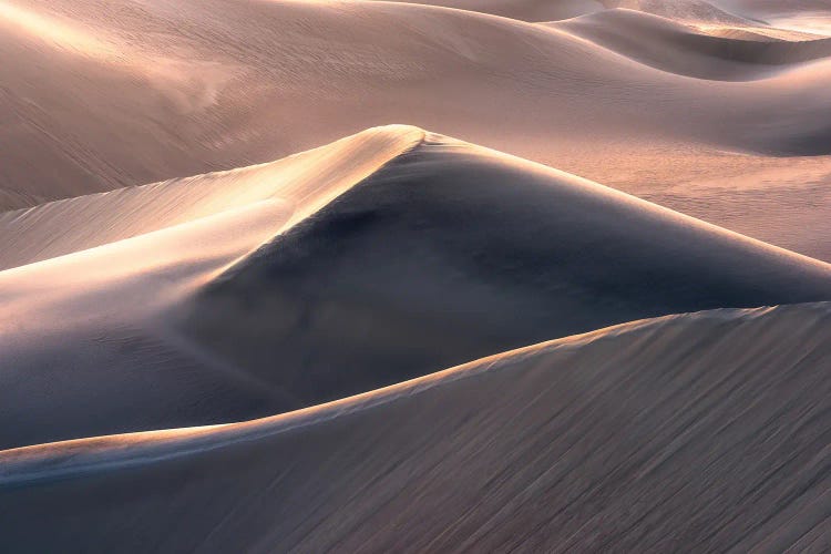Last Light In The Desert by Daniel Gastager wall art