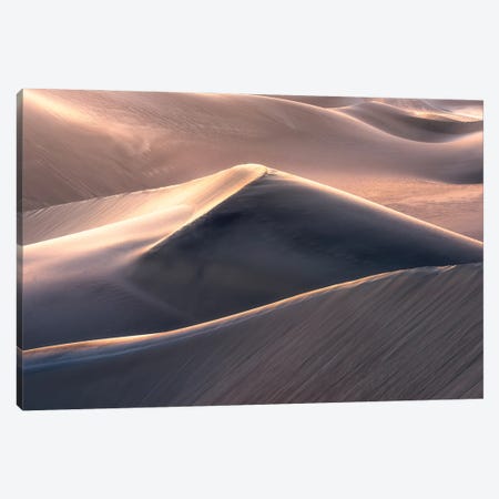 Last Light In The Desert Canvas Print #DGG273} by Daniel Gastager Art Print