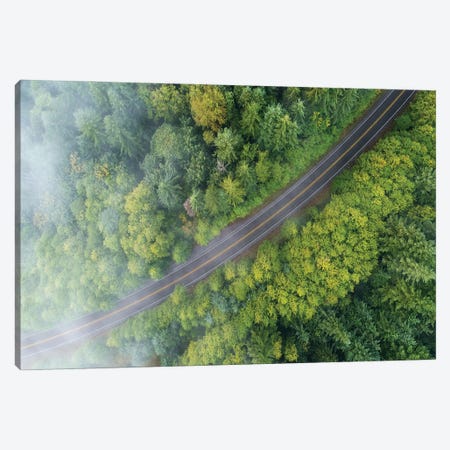 Foggy Forest Road From Above Canvas Print #DGG305} by Daniel Gastager Canvas Artwork