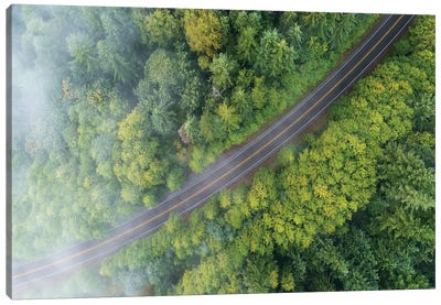 Foggy Forest Road From Above Canvas Art Print - Daniel Gastager
