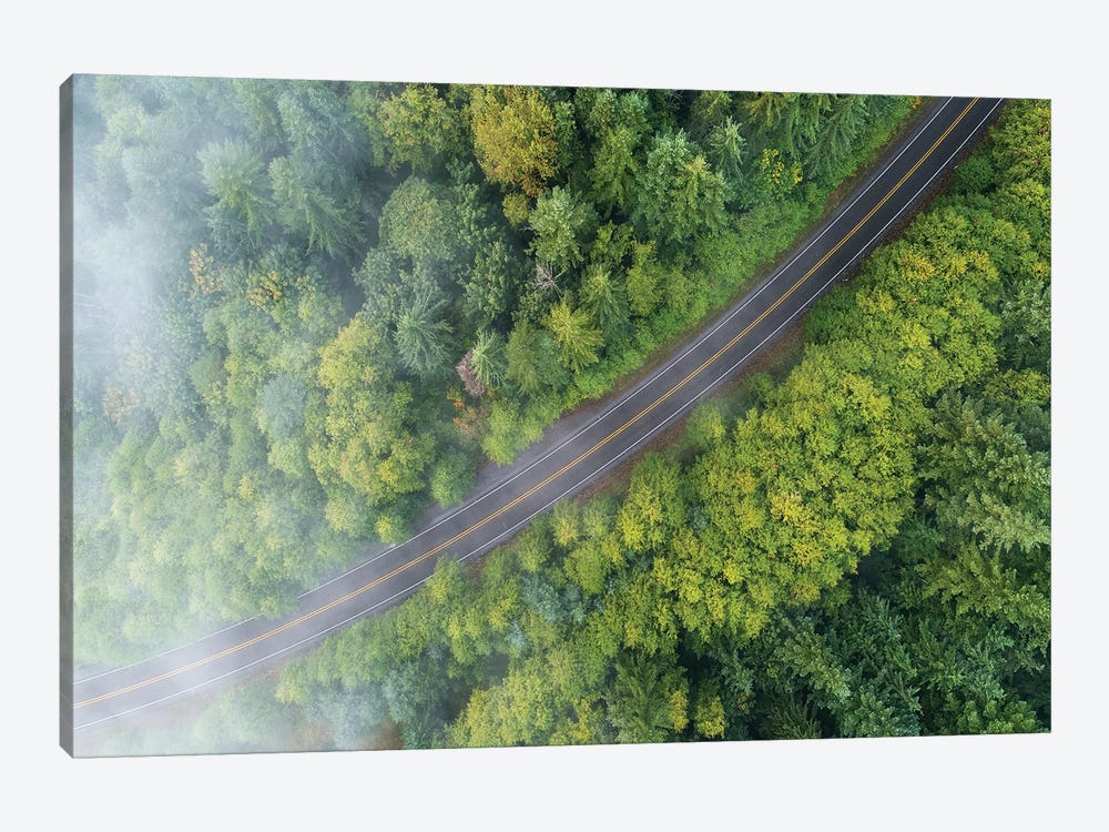 Foggy Forest Road From Above by Daniel Gastager 1-piece Canvas Print