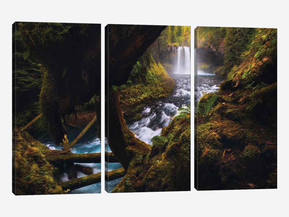 Autumn Afternoon At Koosah Falls by Daniel Gastager 3-piece Canvas Print