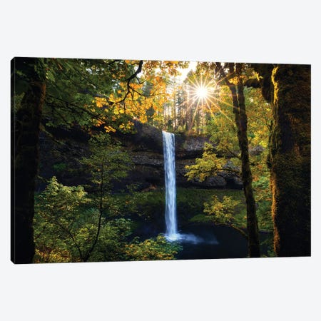Oregon Forest Sunlight Canvas Print #DGG310} by Daniel Gastager Canvas Wall Art