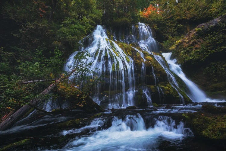 Autumn At Panther Creek Falls