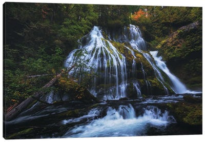 Autumn At Panther Creek Falls Canvas Art Print