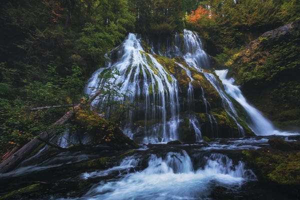 Daniel Gastager: Autumn At Panther Creek Falls by Daniel Gastager