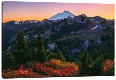 Autumn Colors At Mount Baker In Washington Canvas Art Print - Daniel Gastager
