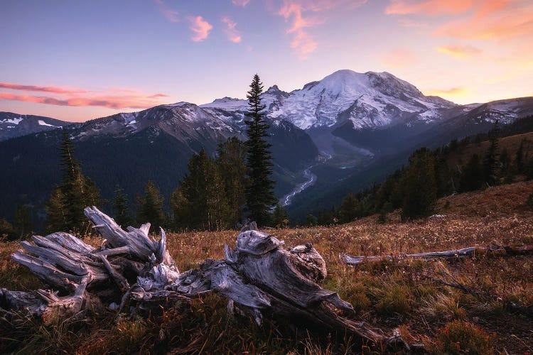 Sunset Overlook At Mount Rainier