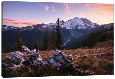 Sunset Overlook At Mount Rainier Canvas Art Print - Cascade Range Art