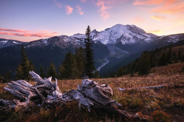 Sunset Overlook At Mount Rainier