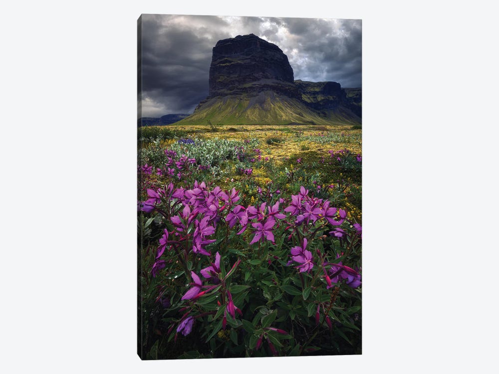 Icelandic Mountains And Flowers by Daniel Gastager 1-piece Canvas Artwork