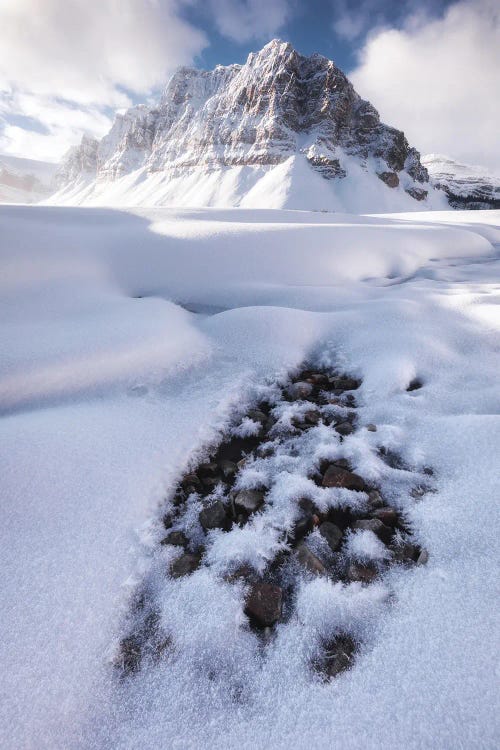 Cold Winter Morning At Bow Lake In Canada