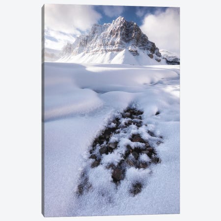 Cold Winter Morning At Bow Lake In Canada Canvas Print #DGG322} by Daniel Gastager Art Print