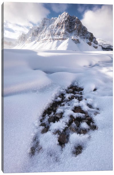 Cold Winter Morning At Bow Lake In Canada Canvas Art Print