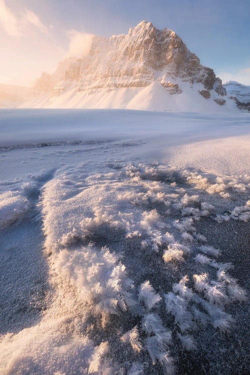 Cold Winter Sunrise At Bow Lake In Canada