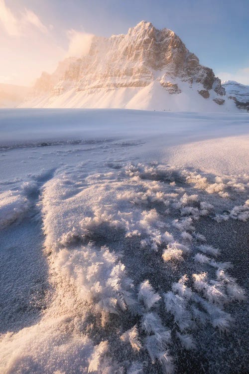 Cold Winter Sunrise At Bow Lake In Canada