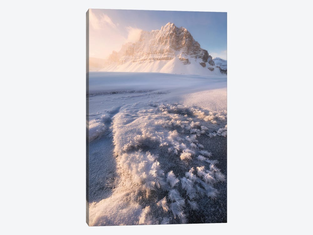 Cold Winter Sunrise At Bow Lake In Canada by Daniel Gastager 1-piece Art Print