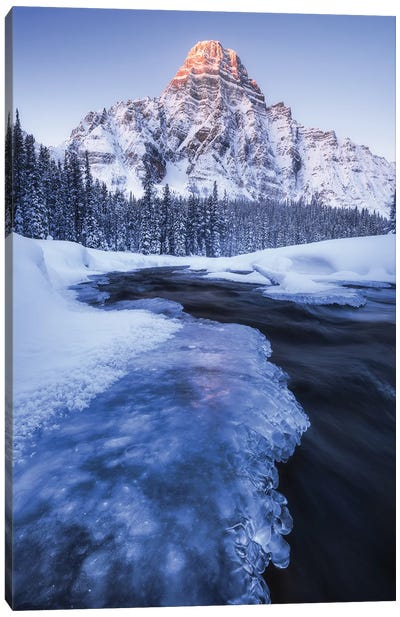 Freezing Cold Winter Sunrise At Mount Chephren In Alberta Canvas Art Print - Winter Wonderland