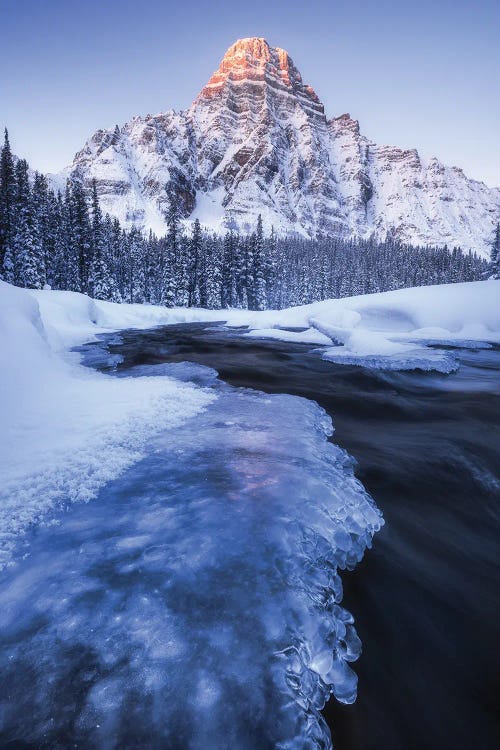 Freezing Cold Winter Sunrise At Mount Chephren In Alberta